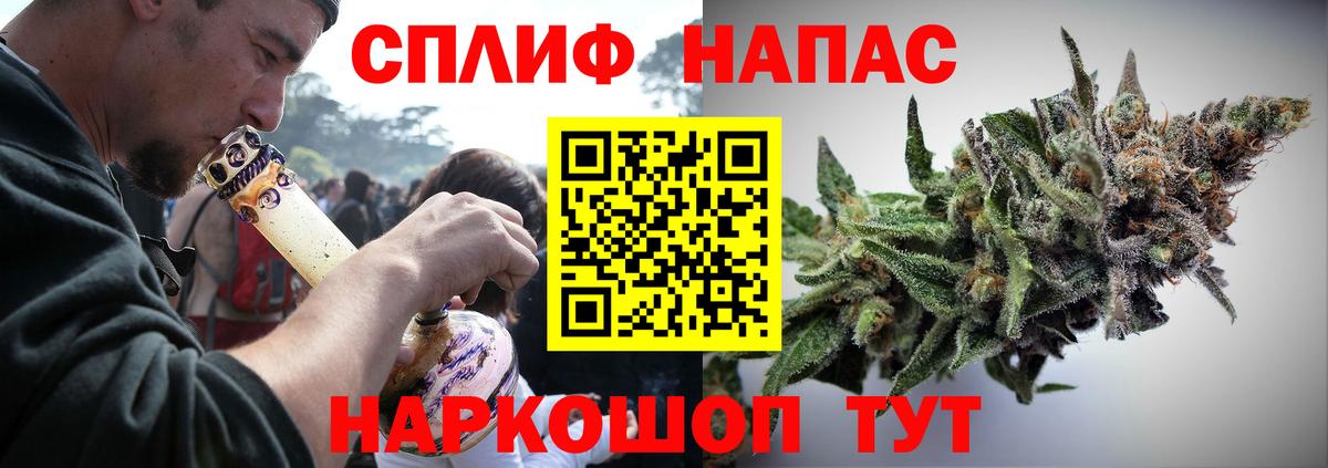 Конопля сатива Дивногорск